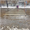 Самое интересное в Красноярске за 6 ноября: снежное месиво и бывший ректор