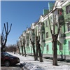 В Красноярске обрежут 30 тысяч деревьев