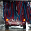 Красноярцы жалуются на порчу автомобильных ковриков на автомойках