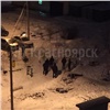 В Красноярске на детской площадке нашли изрезанный труп мужчины. Подозреваемый уже задержан