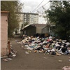 Красноярские депутаты попросят отложить «мусорную реформу»