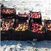 В Красноярске уничтожили больше тонны запрещённых яблок