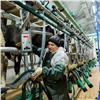 За год в Красноярском крае запустили 4 инвестпроекта в сфере сельского хозяйства