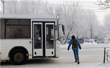 «На линию вышло 92% автобусов»: в мэрии Красноярска пообещали наказать неготовых к морозам маршрутчиков