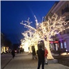 Центр Красноярска снова украшают светящимися деревьями