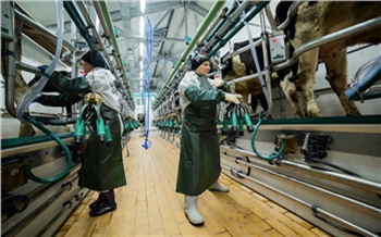 На инвестпроекты в сфере сельского хозяйства из краевого бюджета выделят 1,5 млрд рублей