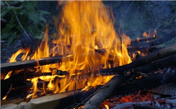 У прилетевших в Красноярск иностранцев отобрали 370 кг еды и сожгли её