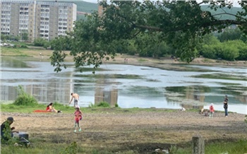 Абаканскую протоку в Красноярске два года будут чистить за 30 млн рублей