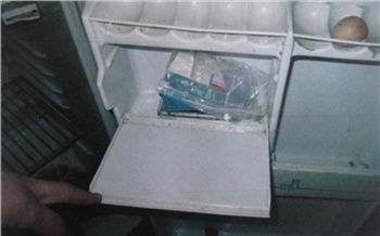 Полицейские нашли в холодильнике наркодилера из Канска «синтетику». Грозит до 20 лет