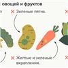 «Без липкой кожуры и с упругим хвостиком»: красноярцам дали советы по выбору безопасных фруктов и овощей