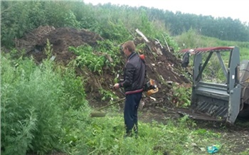 «Косили и жгли»: полицейские уничтожили 30 га дикорастущей конопли в Красноярском крае