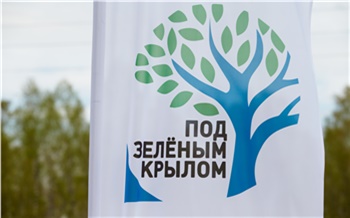 РУСАЛ высадил полмиллиона деревьев в Иркутской области в рамках проекта «Под зеленым крылом»