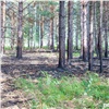 Лесных пожарных Красноярского края уличили в приписках для увеличения зарплаты