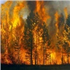 «Лесопожарный центр» Красноярского края не доплатил авиаторам 100 миллионов за охрану лесов от пожаров 