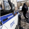 Полицейские раскрыли серию дачных краж под Красноярском