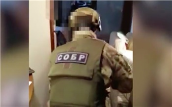 Красноярские полицейские поймали группу сутенеров. Ими из Анапы руководила женщина