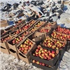 В Красноярске снова уничтожили подозрительные яблоки. Сразу тонну
