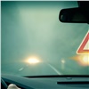 ГИБДД просит красноярских водителей притормозить перед переходами и перекрестками