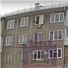На правобережье Красноярска неизвестный выбросил с 5 этажа той-терьера и попал на видео (видео)