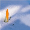 Февраль в Красноярске закончится оттепелью и дождем. А март начнется с минусовых температур