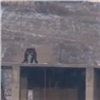 В Красноярске мужчины устроили драку на крыше недостроенного здания (видео)