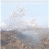 «Саркофаг растаял»: под Канском снова разгорается свалка опасных химических отходов (видео)