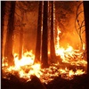 В Красноярском крае по вине человека случился первый лесной пожар