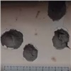 Под Рязанью мужчина расстрелял пятерых человек из-за шума под окнами (видео)