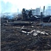 В Абанском районе жители деревни подожгли траву и спалили пять заброшенных домов. Жилые удалось отстоять