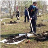 «Сад Памяти»: накануне Дня Победы в шахтерских городах Красноярского края высажены молодые деревья