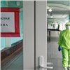 В Хакасии за сутки выздоровели от коронавируса вдвое больше, чем заболели