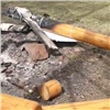 Красноярские вандалы добрались до «Гремячей гривы»: сожгли в костре указатели и часть беседки (видео)