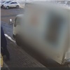 В Красноярске поймали серийного похитителя колясок (видео)