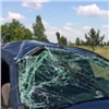 На трассе в Красноярском крае машина с 6-месячным ребенком улетела в кювет и перевернулась (видео)