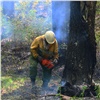 В Красноярском крае горит уже 162,5 тысячи гектаров леса