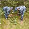 На юге Красноярского края полиция сожгла незаконно растущую коноплю 