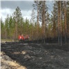 На тушение горящих в Красноярском крае лесов стягивают пожарных из других регионов