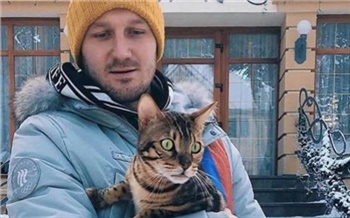 Бродячие собаки загрызли кота красноярского олимпийца и депутата Горсовета Николая Олюнина