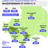 В Красноярском крае растёт доля выздоровевших от коронавируса 