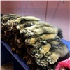 Житель Красноярска пойдет под суд за покупку контрабандных соболиных шкур. Ущерб превысил 68 млн рублей