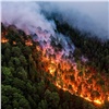 Фотограф Greenpeace показала красивые кадры лесных пожаров в Красноярском крае