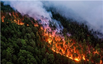 Фотограф Greenpeace показала красивые кадры лесных пожаров в Красноярском крае