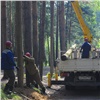 В Зеленогорске началась реконструкция лыжероллерной трассы