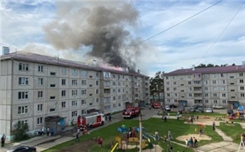 В Лесосибирске мужчина спас из горящей пятиэтажки людей и двух кошек