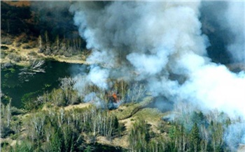 В Красноярском крае впервые для тушения лесных пожаров начали использовать взрывчатку