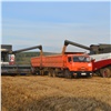 Аграрии Красноярского края опередили темпы прошлого года и собрали более полумиллиона тонн зерна 