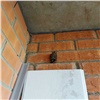 На балконах в Покровском поселились летучие мыши