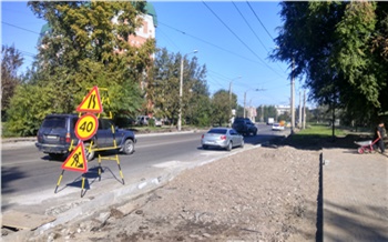В Красноярске для ремонта улицы Тельмана снесут деревьев вдвое меньше запланированного