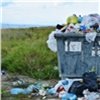 «6,2 тысячи гектаров свалок и полигонов»: Заксобрание обсудило ситуацию с мусором