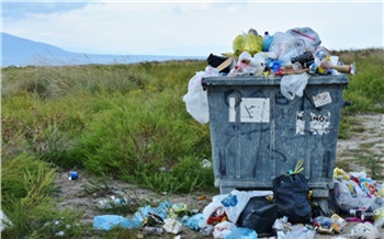 «6,2 тысячи гектаров свалок и полигонов»: Заксобрание обсудило ситуацию с мусором